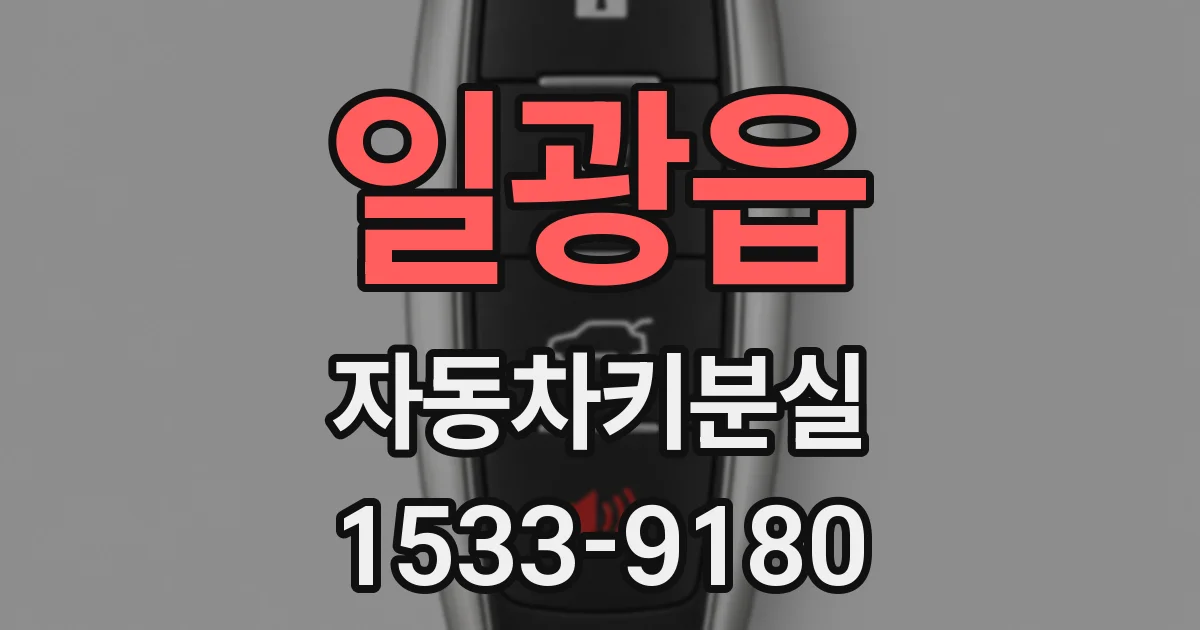일광읍 자동차키분실