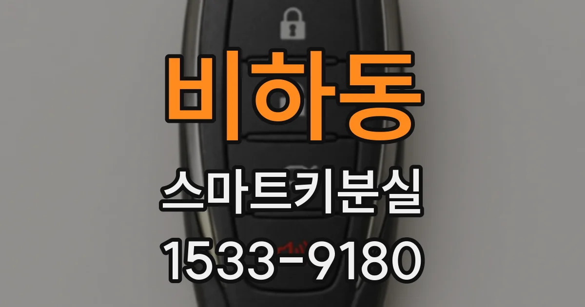 비하동 스마트키분실