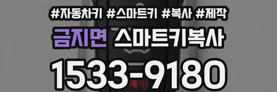 금지면 스마트키복사