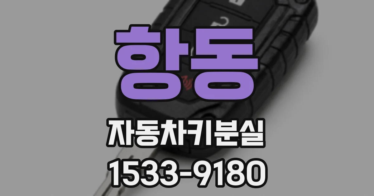 항동 자동차키분실