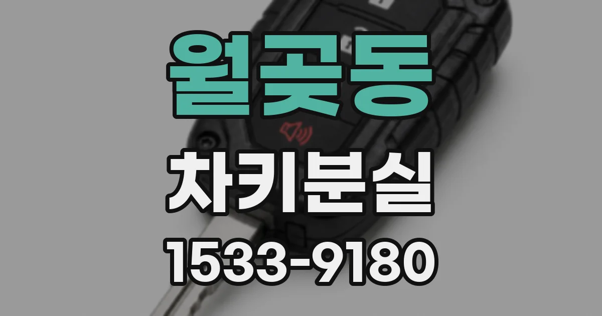 월곶동 차키분실