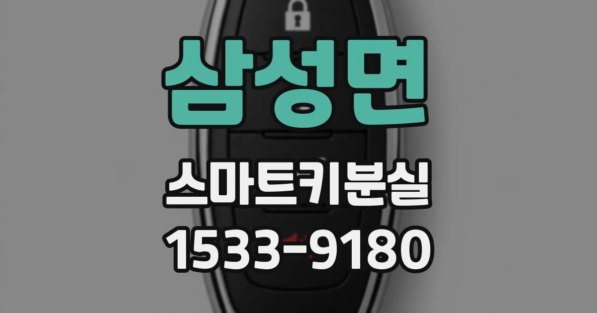 삼성면 스마트키분실
