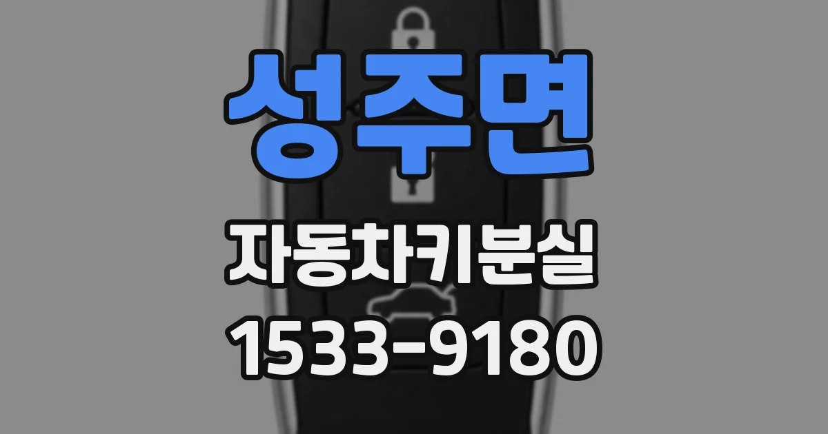 성주면 자동차키분실
