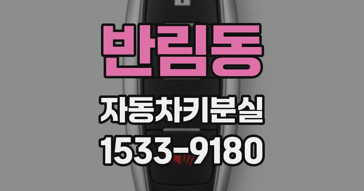 반림동 자동차키분실