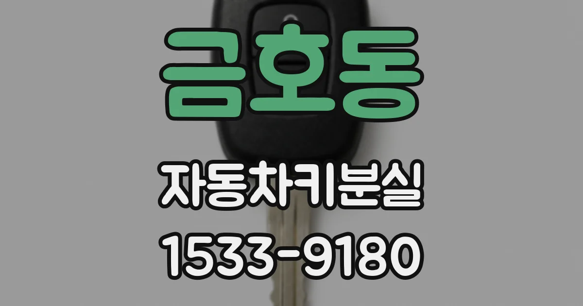 금호동 자동차키분실