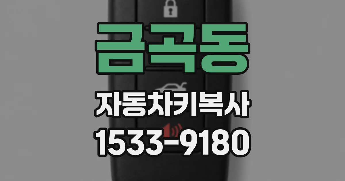 금곡동 자동차키복사
