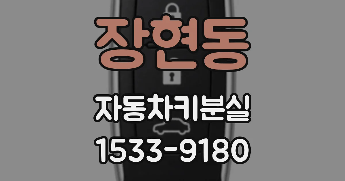장현동 자동차키분실