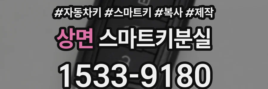 상면 스마트키분실