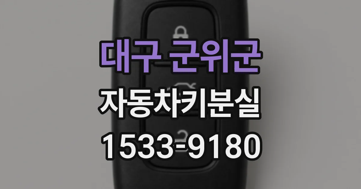대구 군위군 자동차키분실