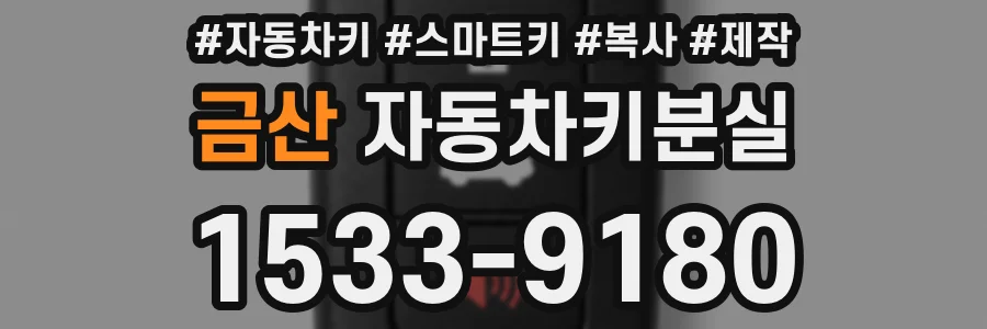 금산 자동차키분실