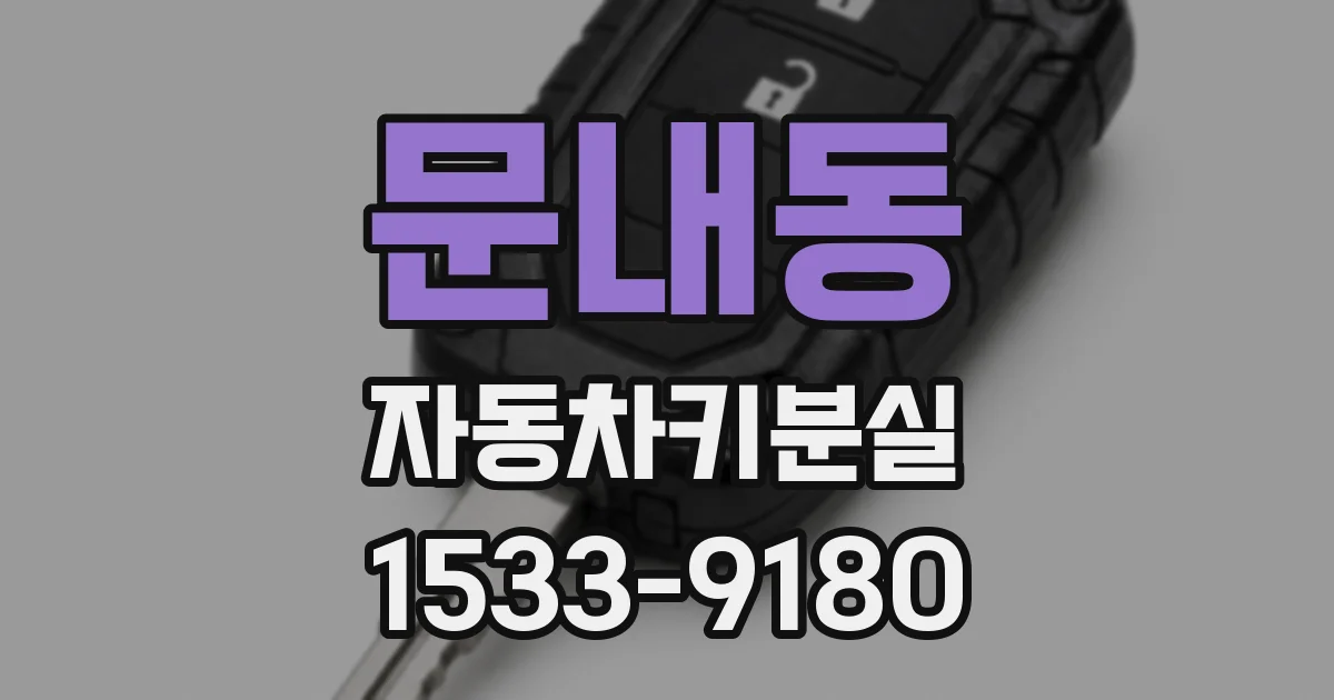 문내동 자동차키분실