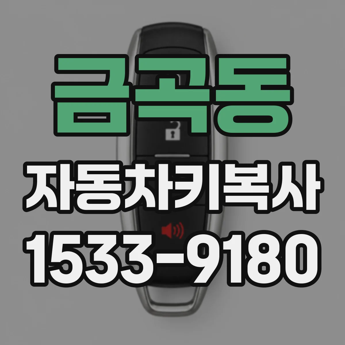 금곡동 자동차키복사