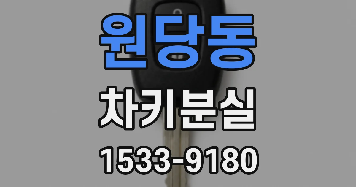 원당동 차키분실