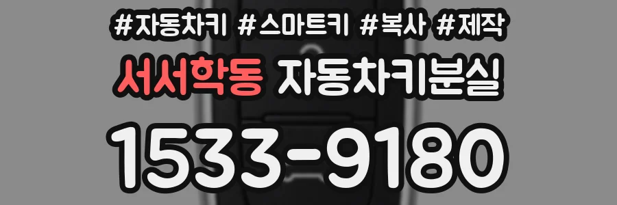 서서학동 자동차키분실