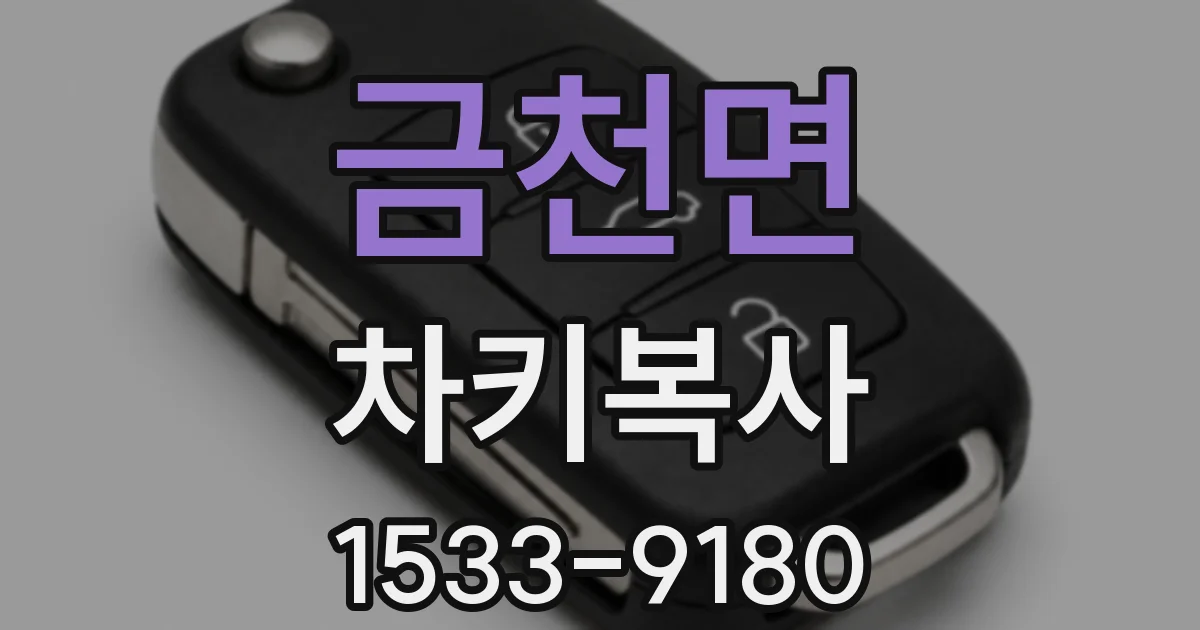 금천면 차키복사