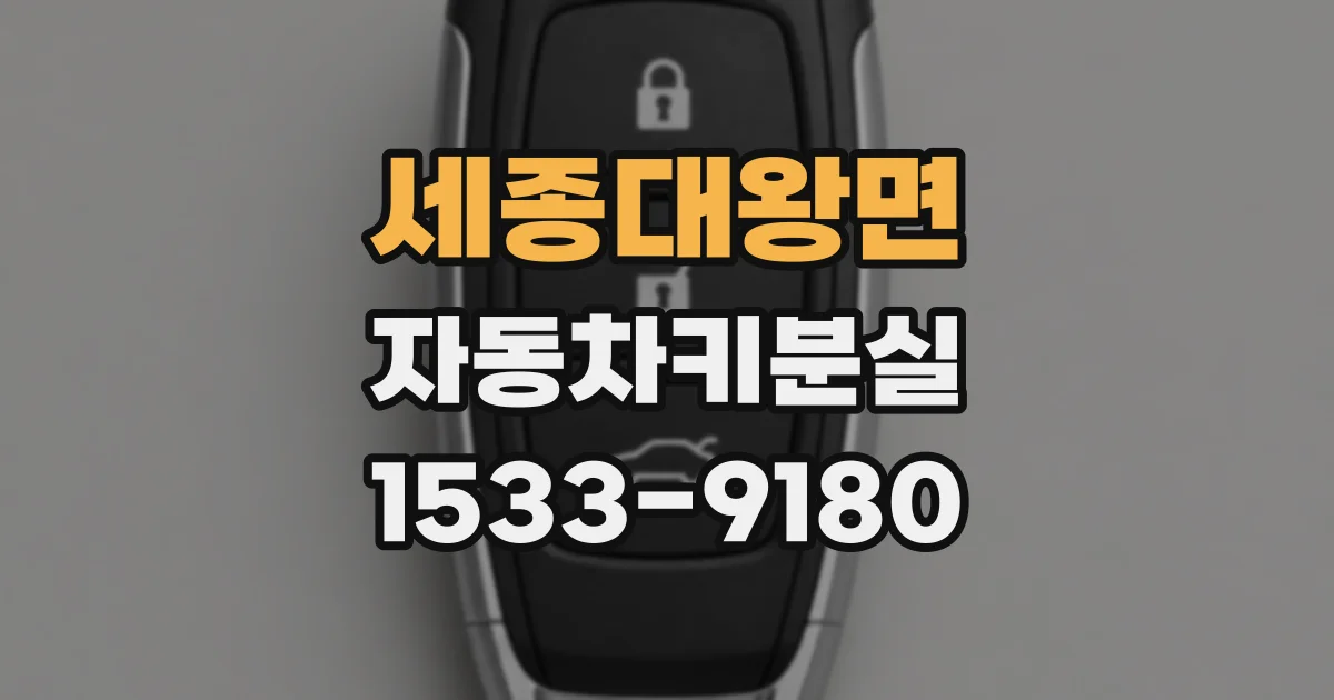 세종대왕면 자동차키분실