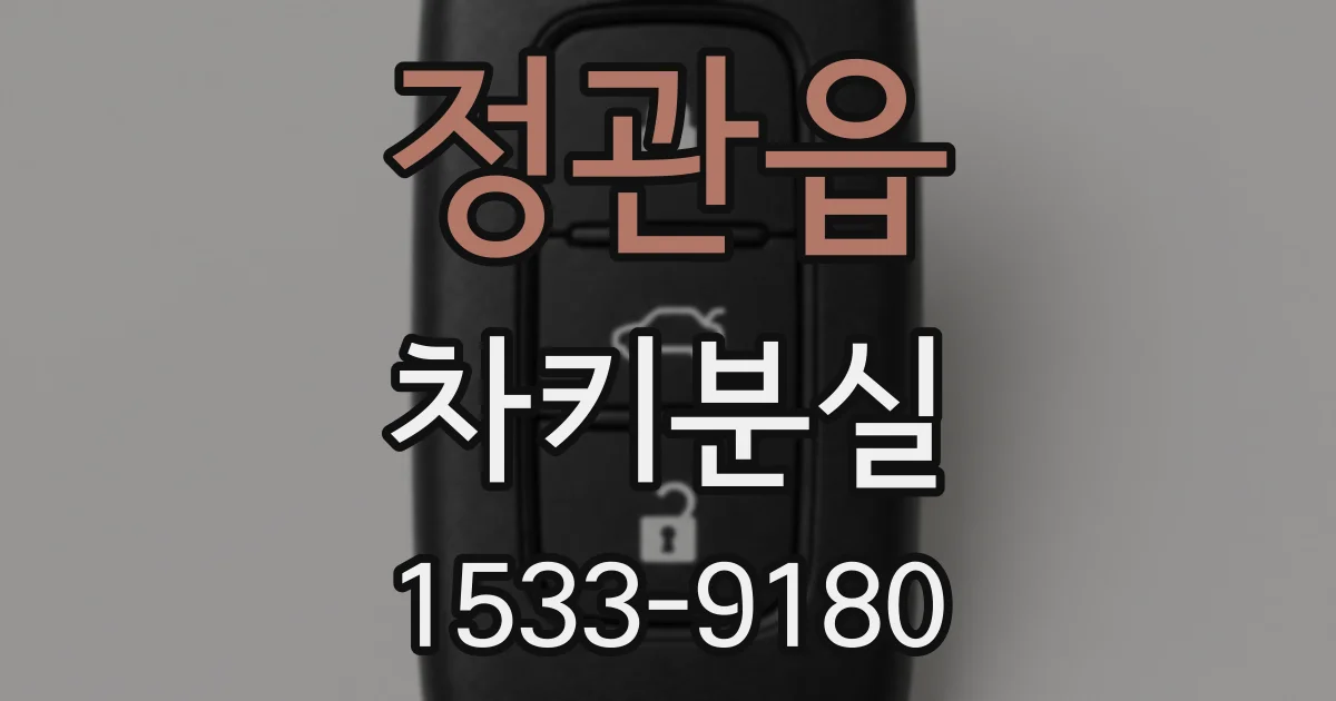 정관읍 차키분실