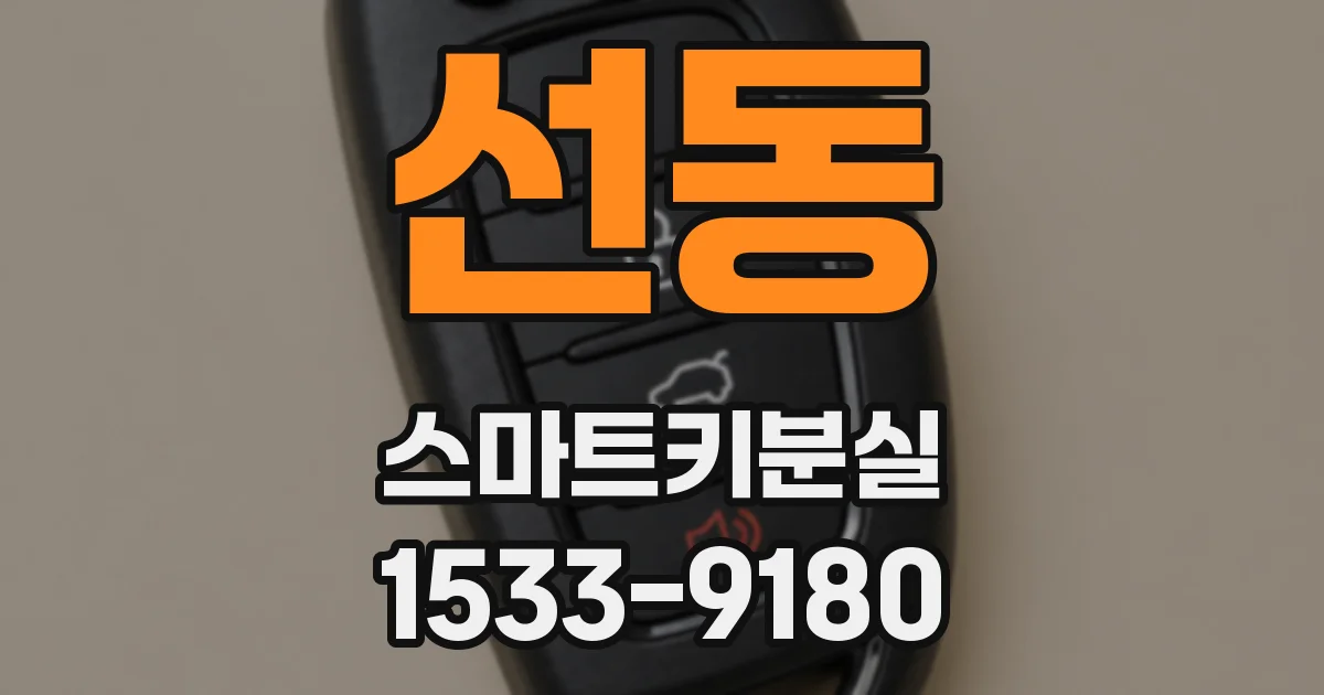 선동 스마트키분실