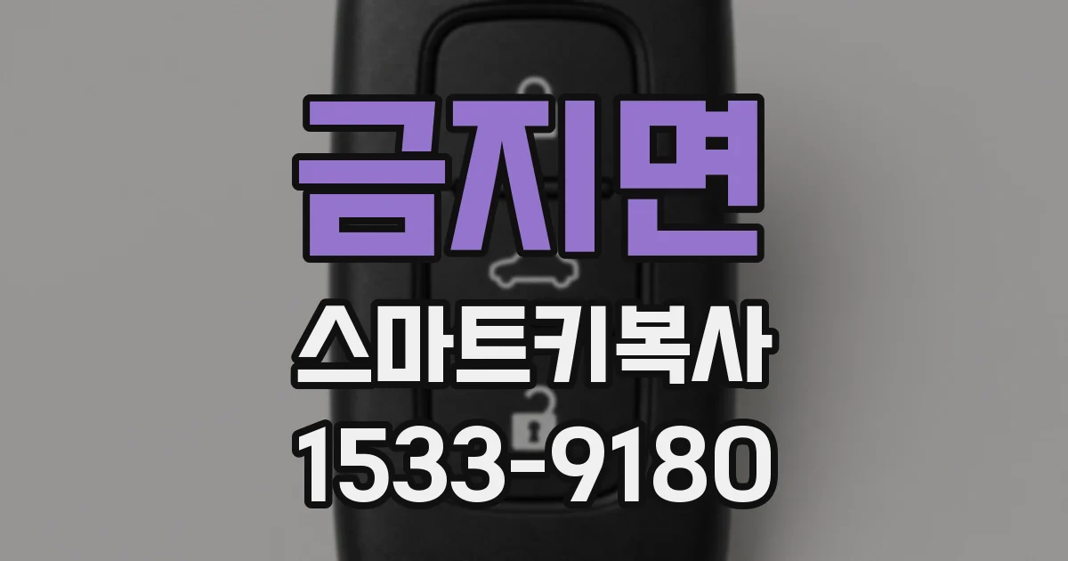 금지면 스마트키복사