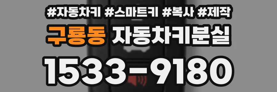 구룡동 자동차키분실