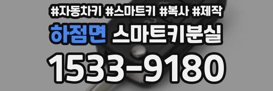 하점면 스마트키분실