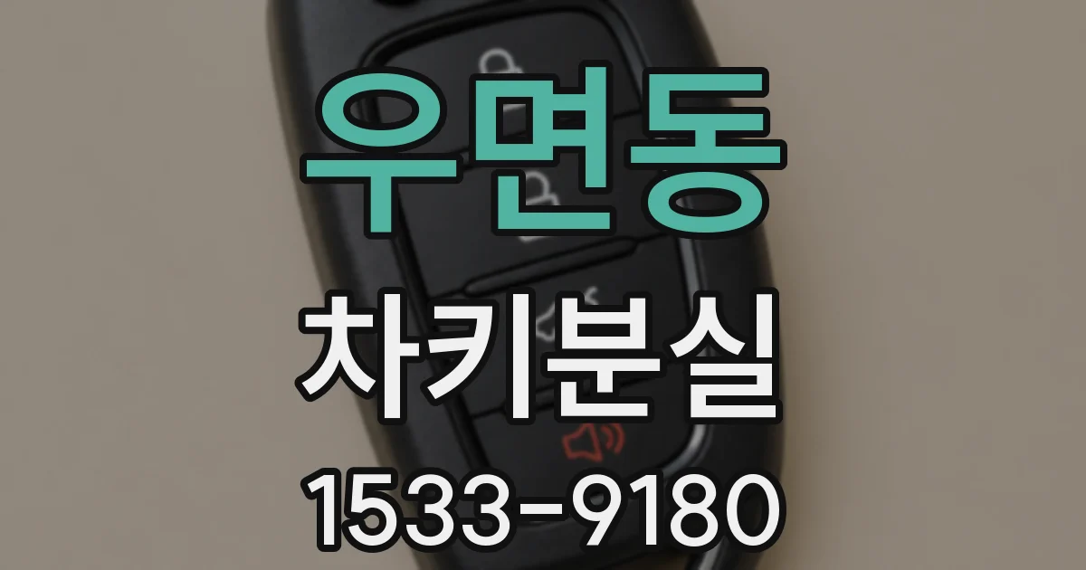 우면동 차키분실
