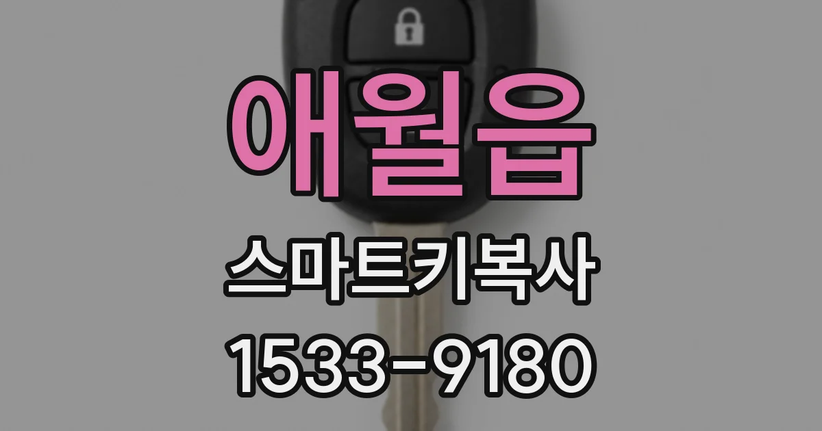 애월읍 스마트키복사