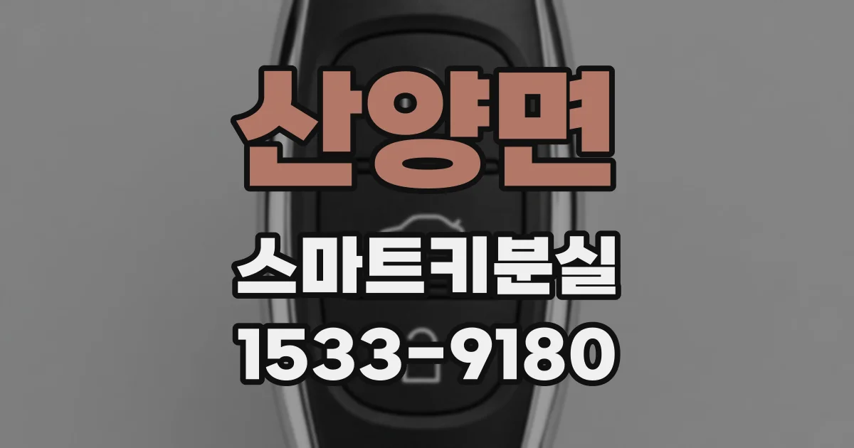 산양면 스마트키분실