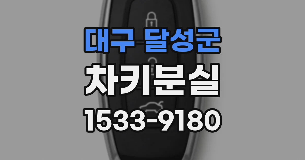 대구 달성군 차키분실