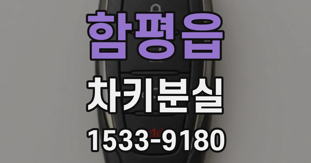 함평읍 차키분실