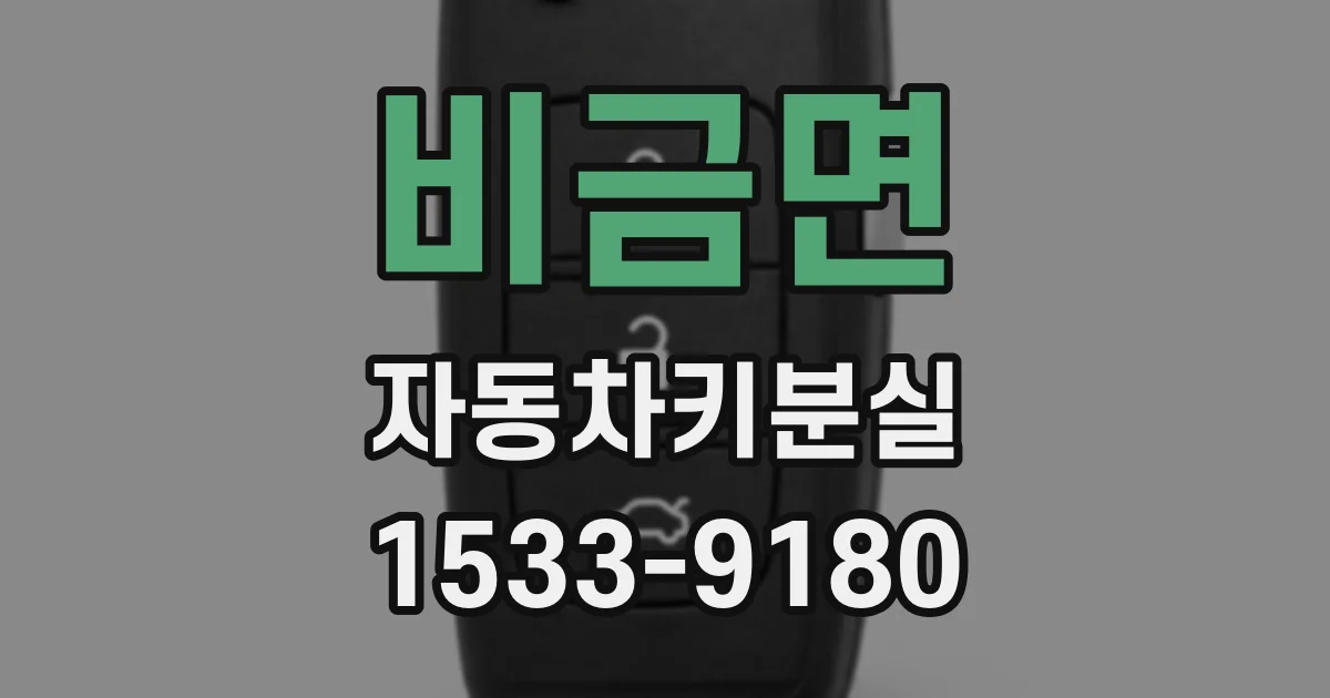 비금면 자동차키분실