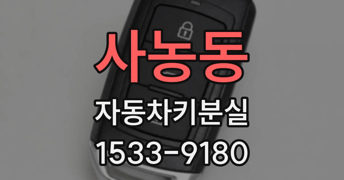 사농동 자동차키분실