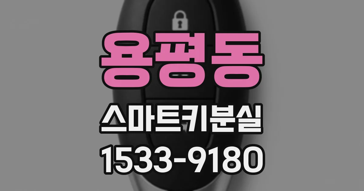 용평동 스마트키분실