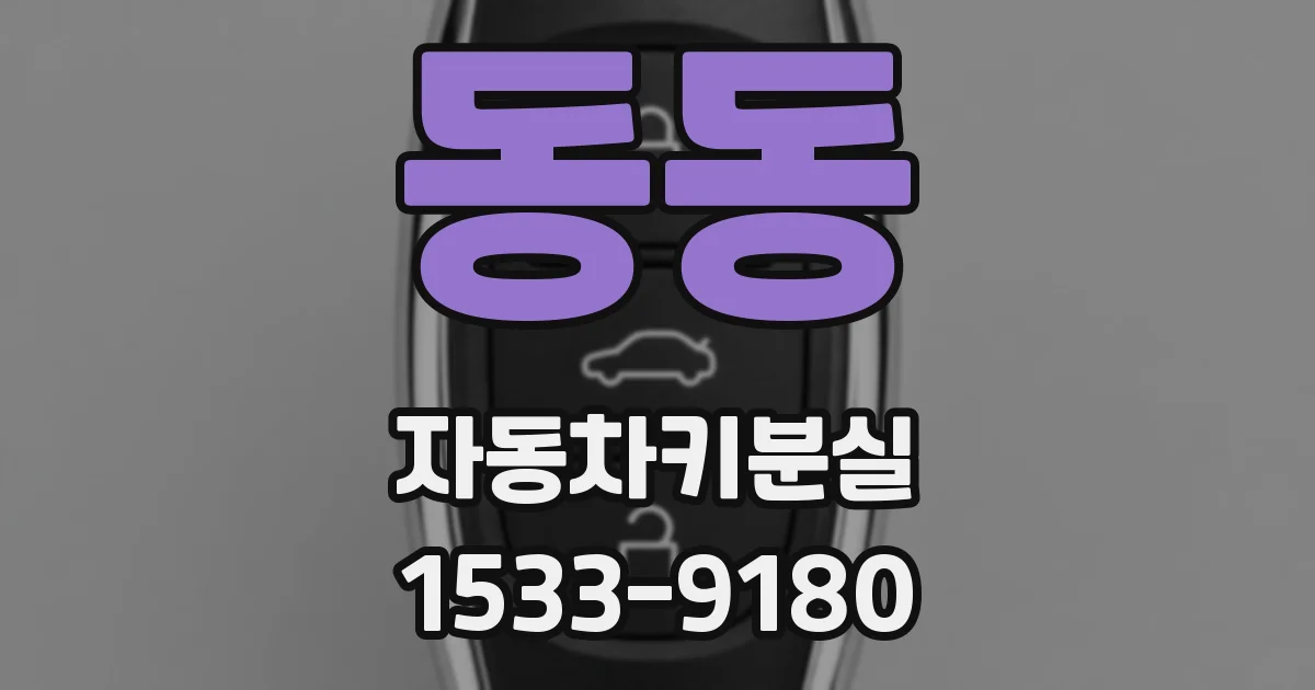 동동 자동차키분실