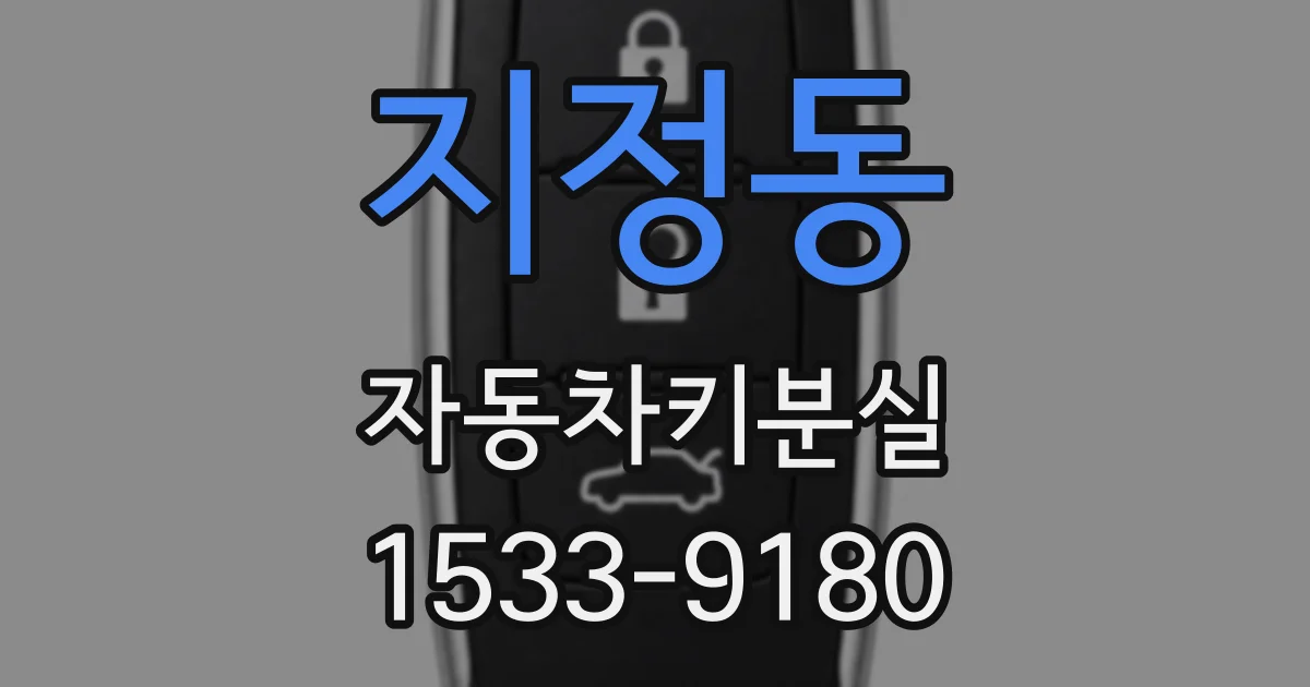 지정동 자동차키분실