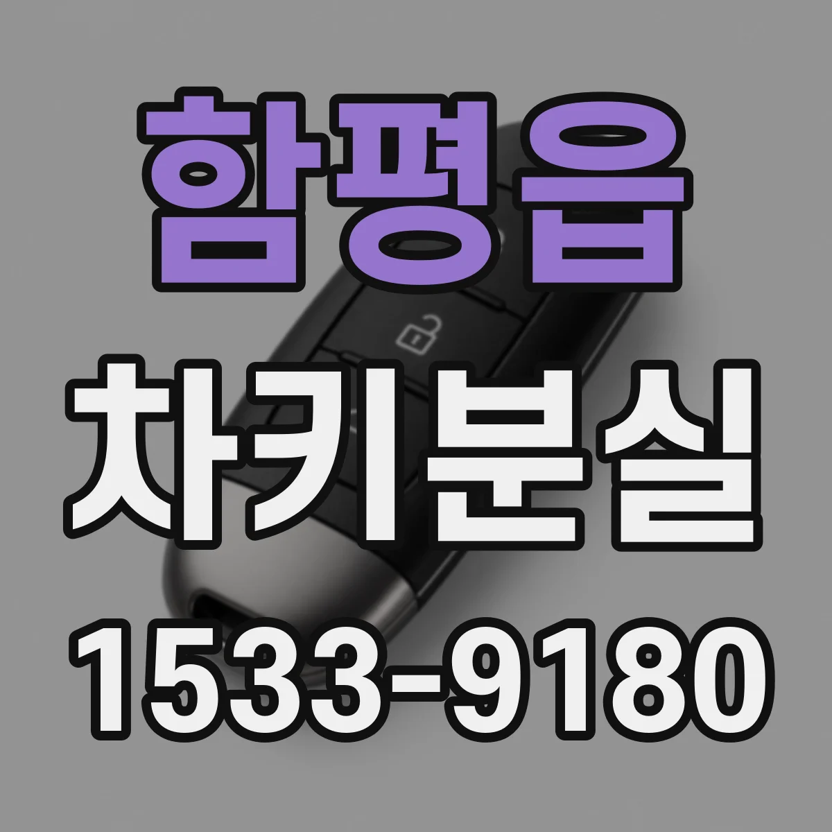 함평읍 차키분실
