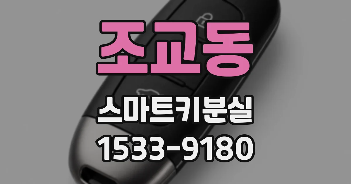 조교동 스마트키분실