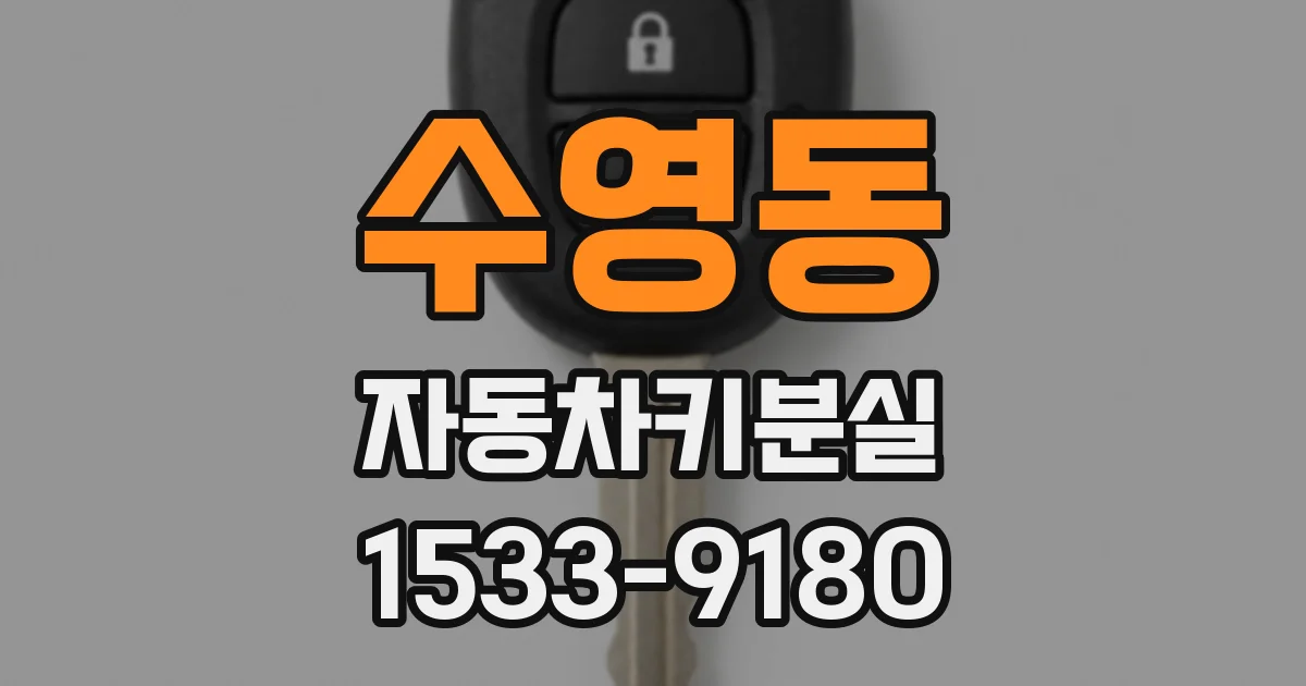 수영동 자동차키분실