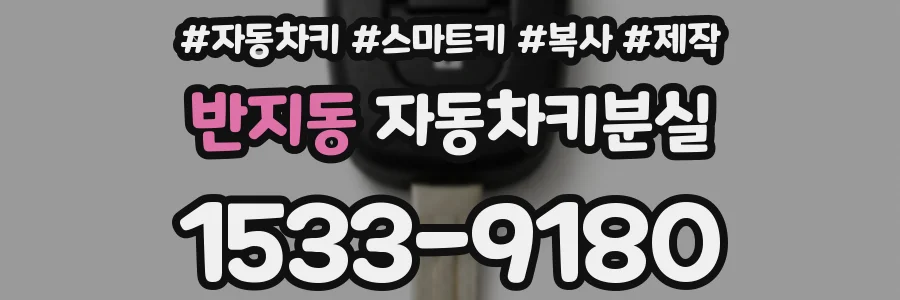 반지동 자동차키분실