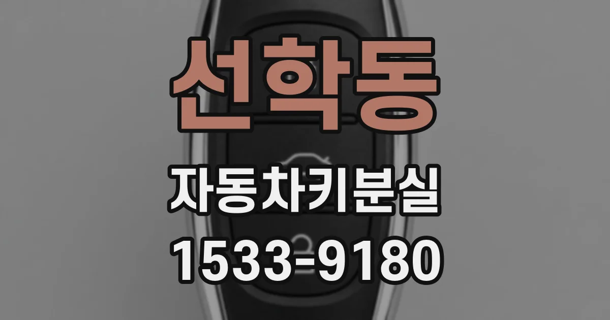 선학동 자동차키분실