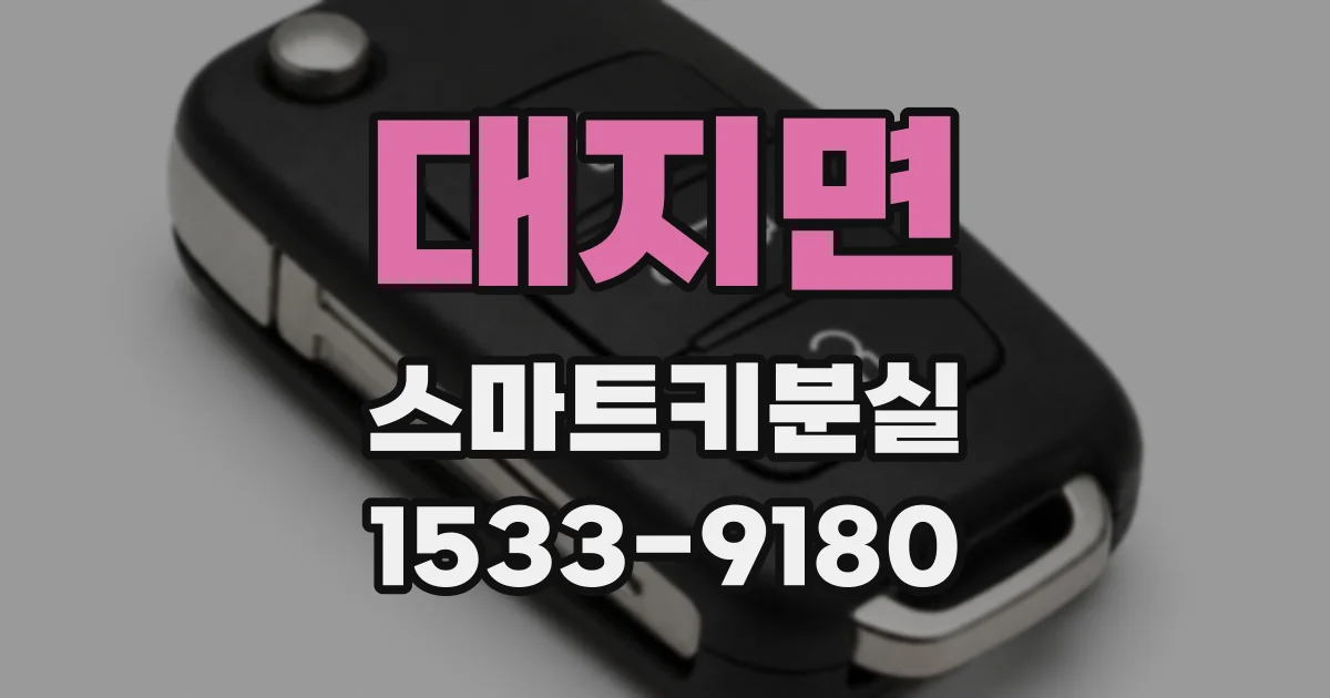 대지면 스마트키분실