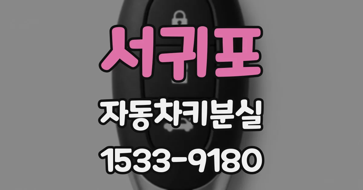 서귀포 자동차키분실