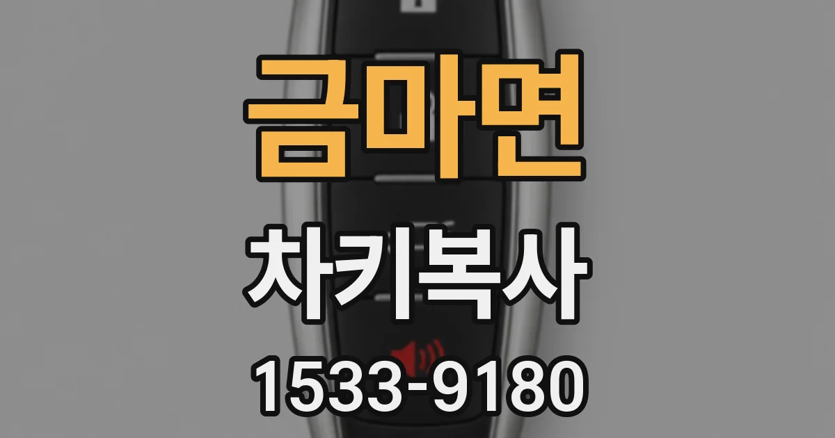 금마면 차키복사
