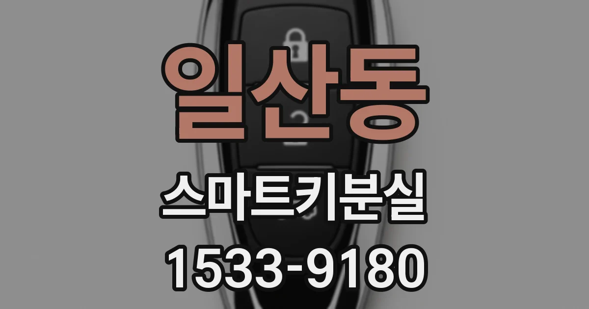 일산동 스마트키분실