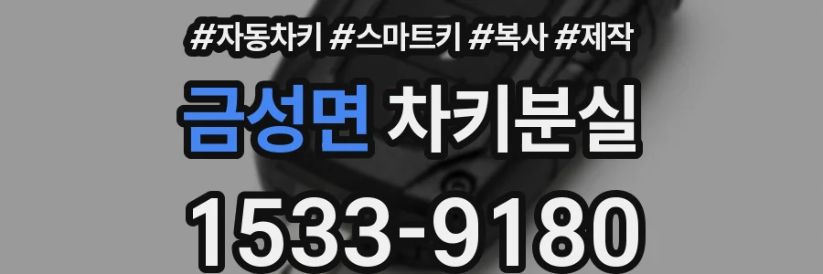 금성면 차키분실