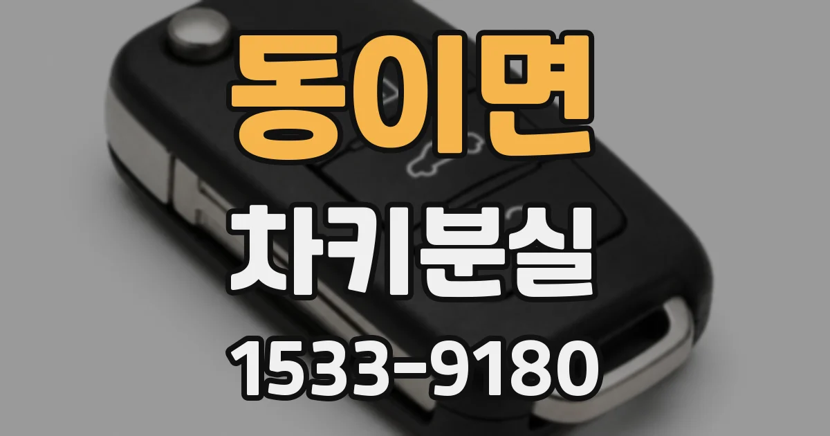 동이면 차키분실