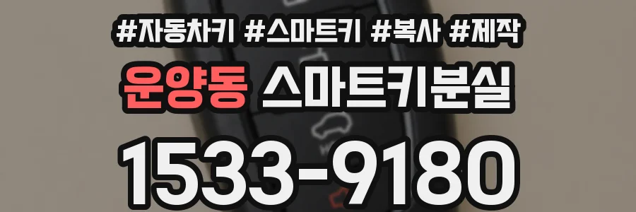 운양동 스마트키분실
