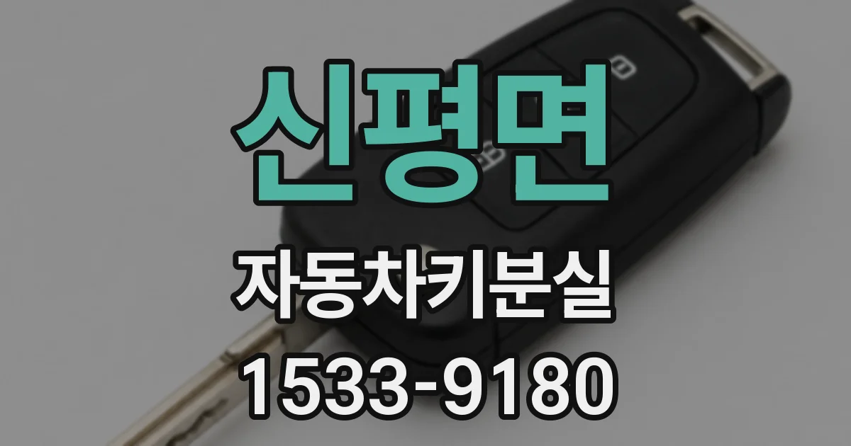 신평면 자동차키분실