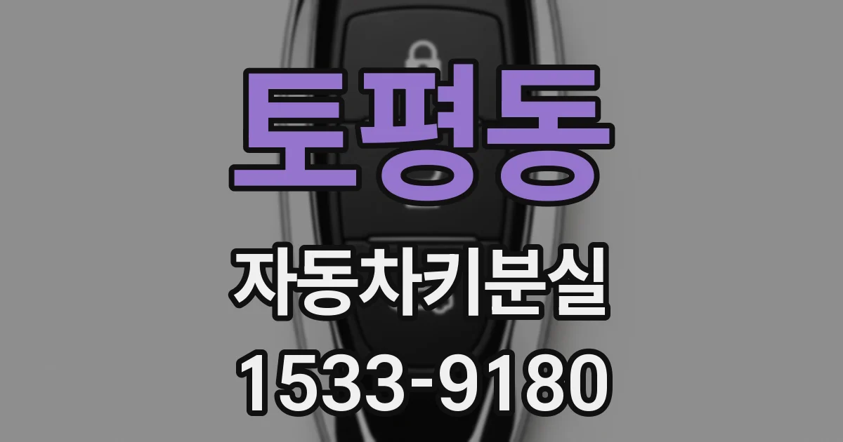 토평동 자동차키분실