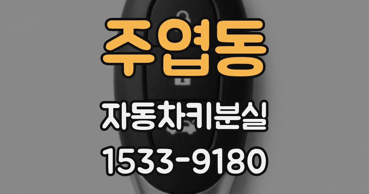 주엽동 자동차키분실